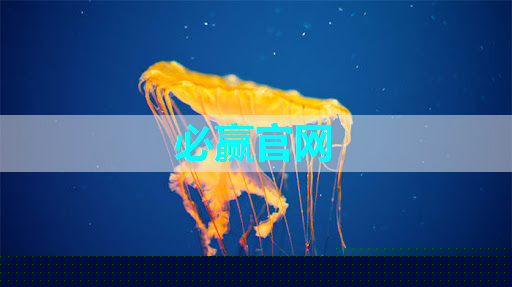 必赢官网,创维智慧商显:解放经营者双手,实现轻松盈利! 必赢官网,创维智慧商显:解放经营者双手,实现轻松盈利!